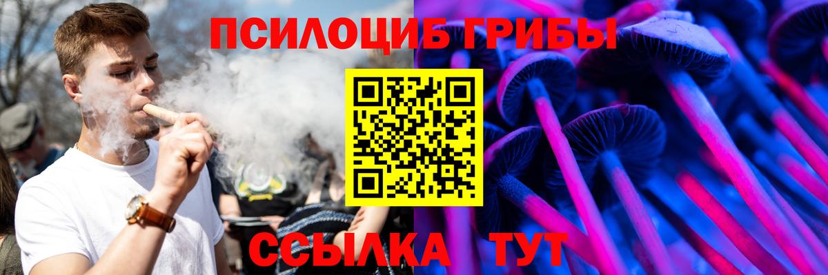 Светлоград  Псилоцибиновые грибы прущие грибы  Псилоцибиновые грибы мухоморы  Вход с VPN 